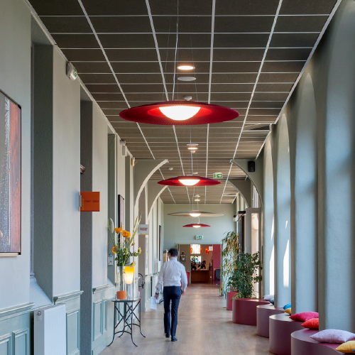 RIGIPS TONGARajztábla 1