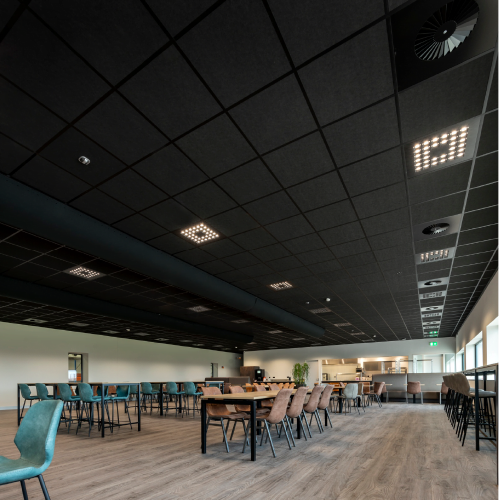 RIGIPS TONGARajztábla 12