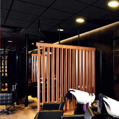 RIGIPS TONGARajztábla 14