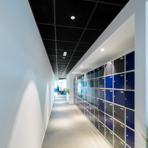 RIGIPS TONGARajztábla 15