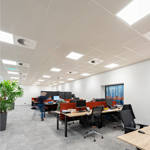 RIGIPS TONGARajztábla 18