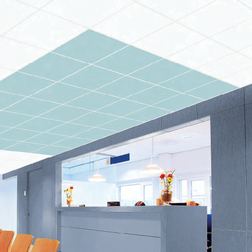 RIGIPS TONGARajztábla 22