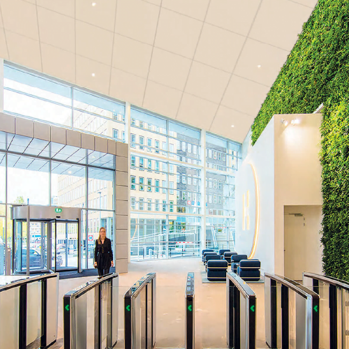 RIGIPS TONGARajztábla 23