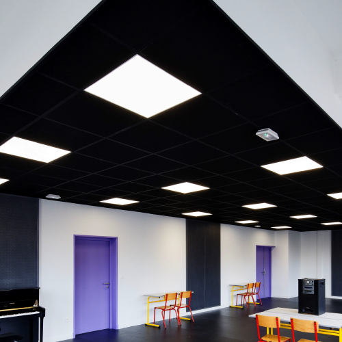 RIGIPS TONGARajztábla 8