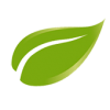 hoja(1)
